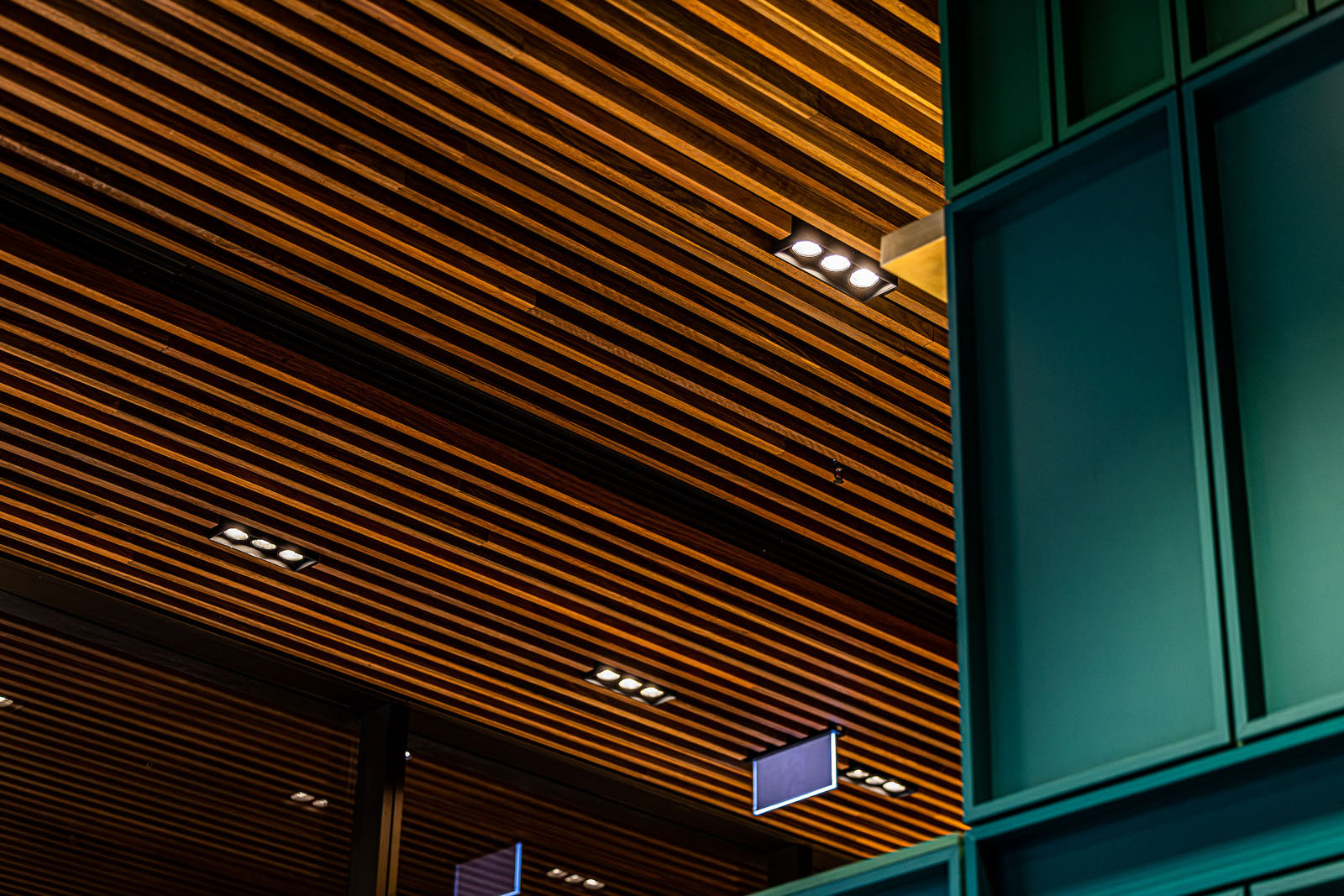 liteco hospitality Lotus Dumpling Bar Circular Quay 001
