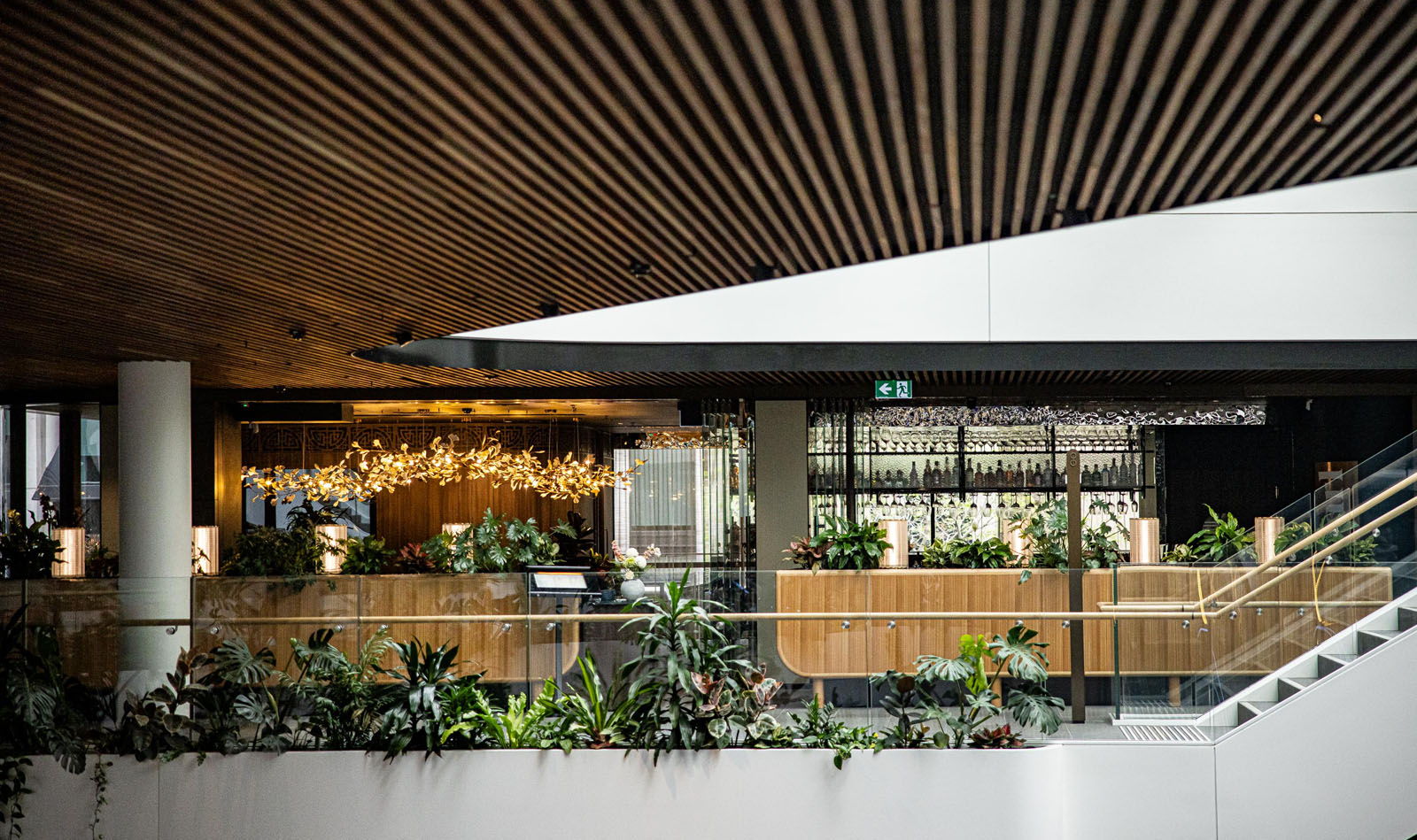 liteco hospitality pearl dining qqt circular quay 001